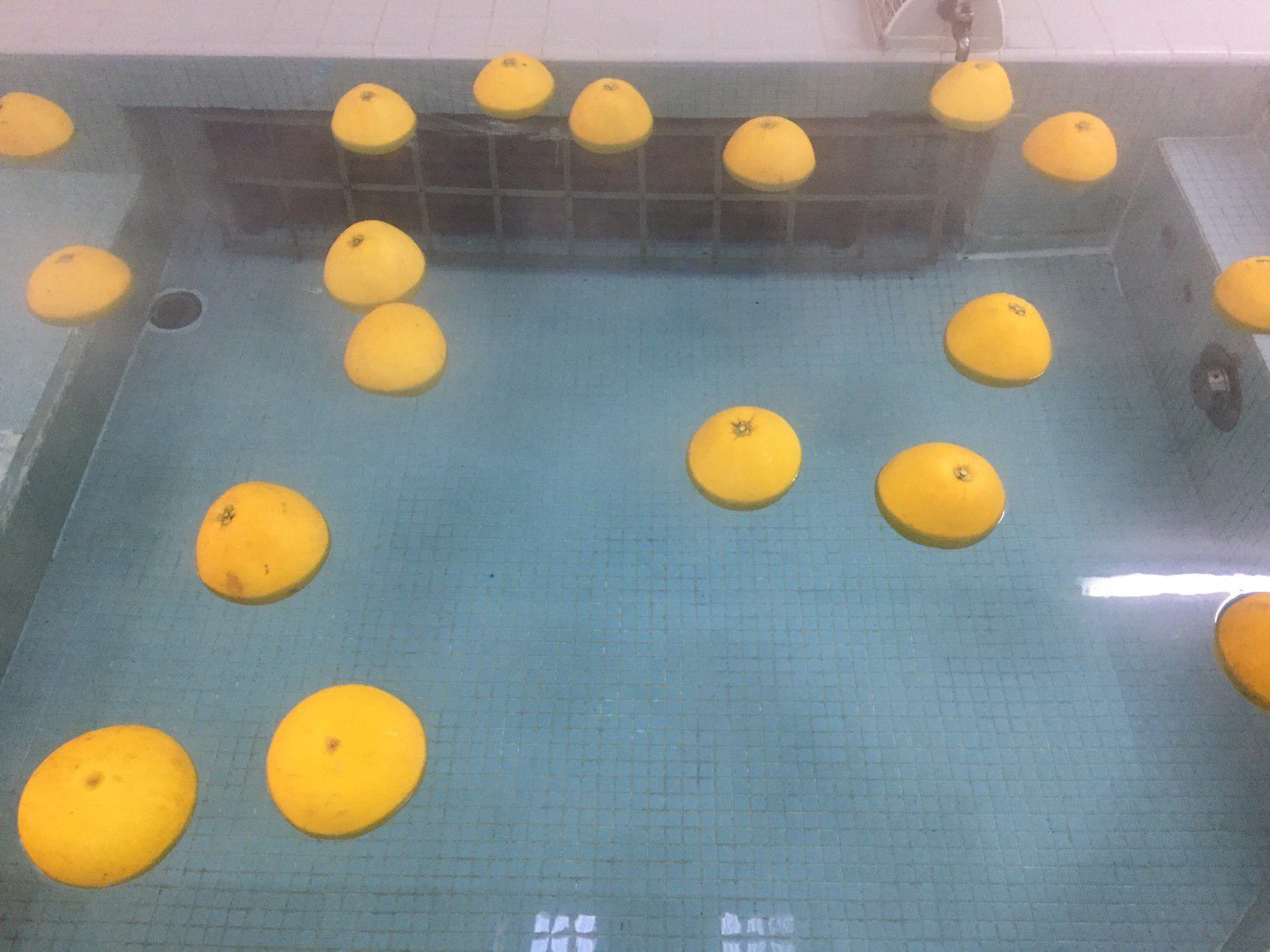 友の湯の写真